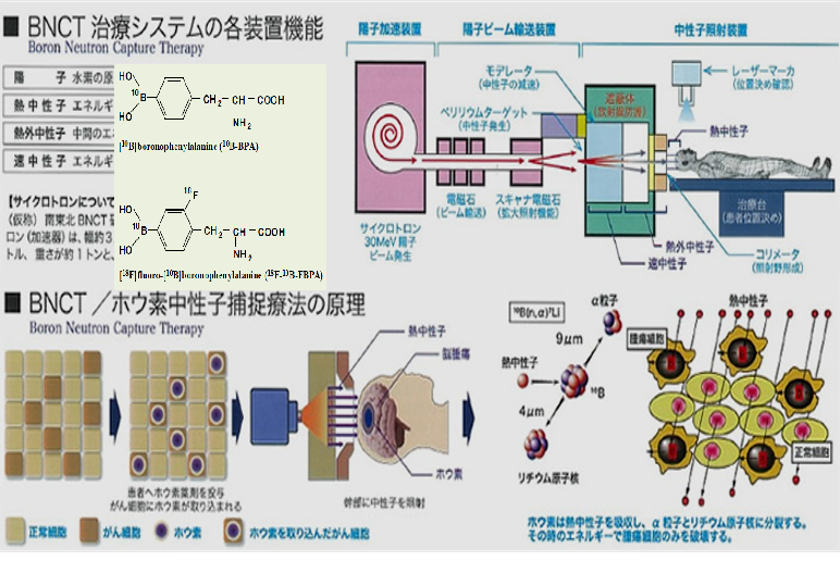 1568095272662064.png 1.png